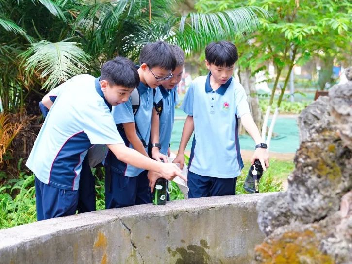耕读东坡韵,探海少年行——海口市龙华区山高实验学校七八年级文化传承与科学探索研学之旅-图片2