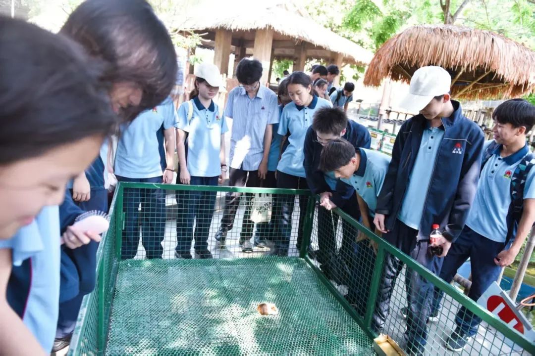 耕读东坡韵,探海少年行——海口市龙华区山高实验学校七八年级文化传承与科学探索研学之旅-图片4