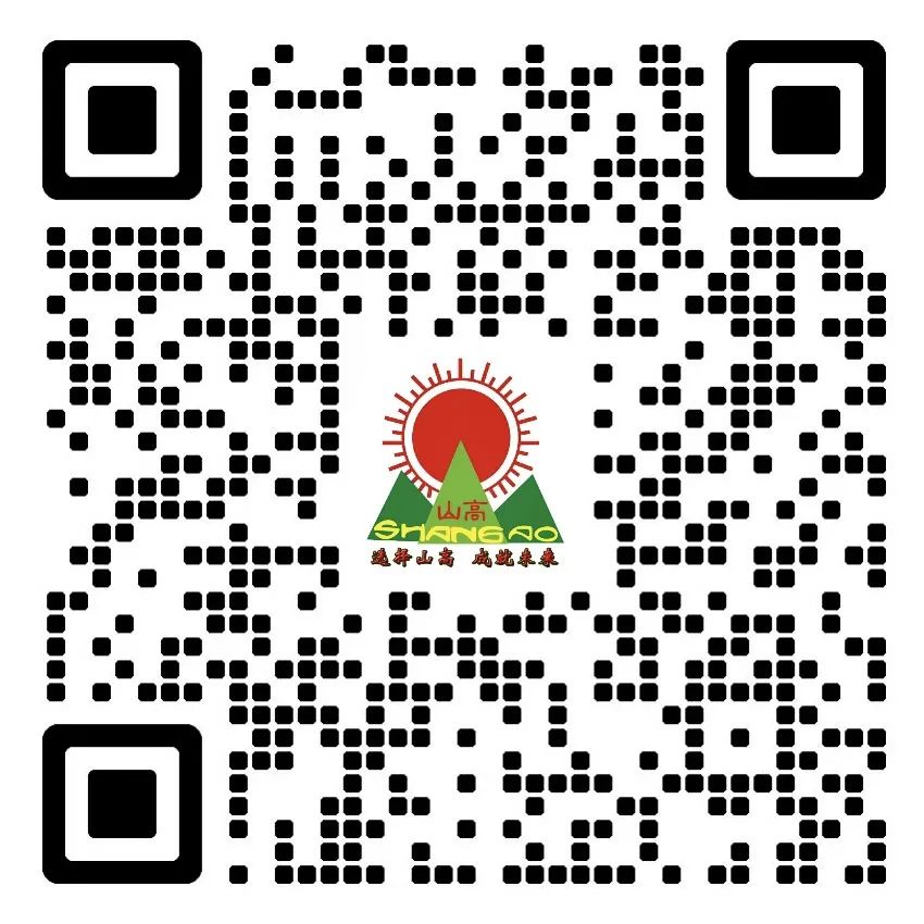 少先队| 缅怀英烈铸中魂 传承红色树新风———海口山高学校清明烈士陵园祭奠先烈活动-图片2