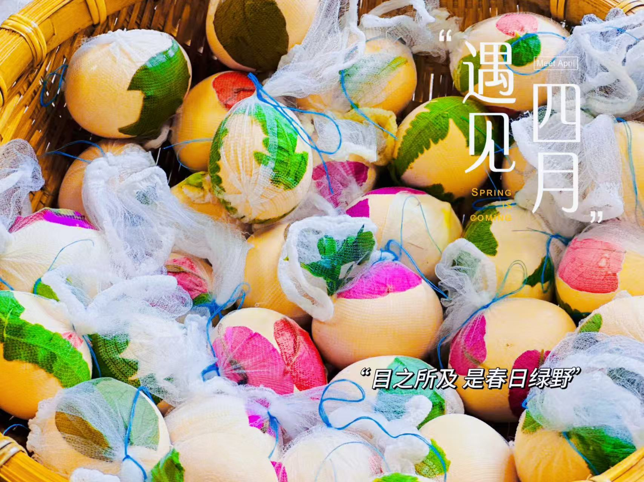花开忆清明，传承润童心——海口市山高幼儿园2025年清明节主题活动-图片57