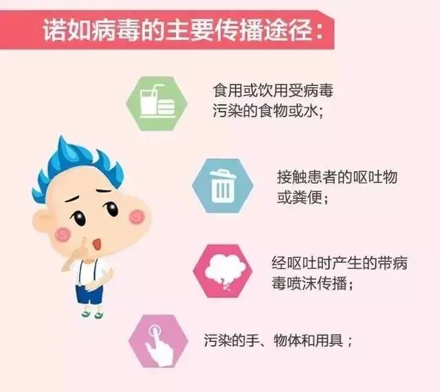 预防诺如病毒，筑牢校园防线——海口市山高幼儿园开展“预防诺如病毒”专项系列行动-图片45