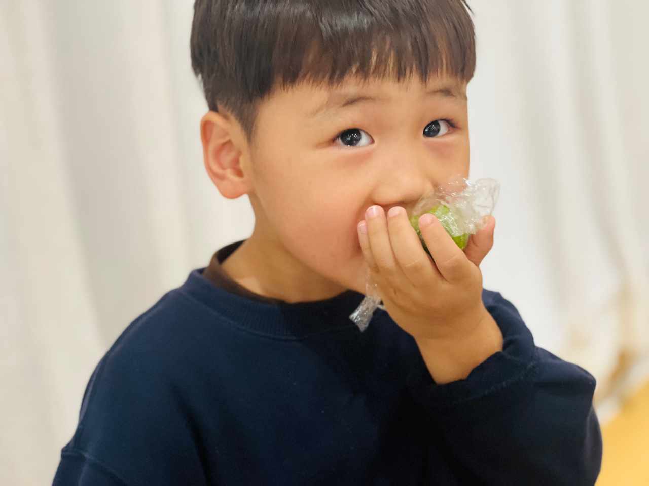 花开忆清明，传承润童心——海口市山高幼儿园2025年清明节主题活动-图片79