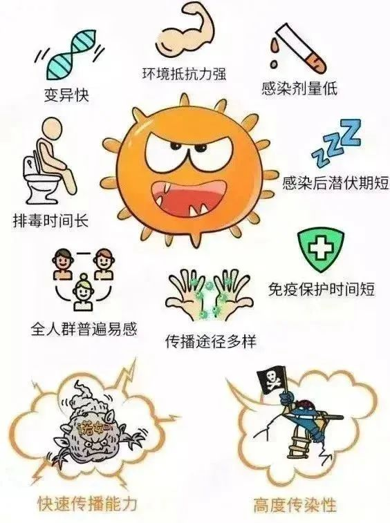 预防诺如病毒，筑牢校园防线——海口市山高幼儿园开展“预防诺如病毒”专项系列行动-图片41