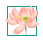 童心表爱意，感恩母亲节——海口市山高幼儿园2025年母亲节系列活动-图片12
