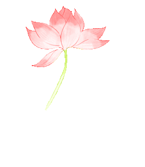 寻味端午 ，“粽”享六一——海口市山高幼儿园“迎端午，庆六一”双节活动-图片2