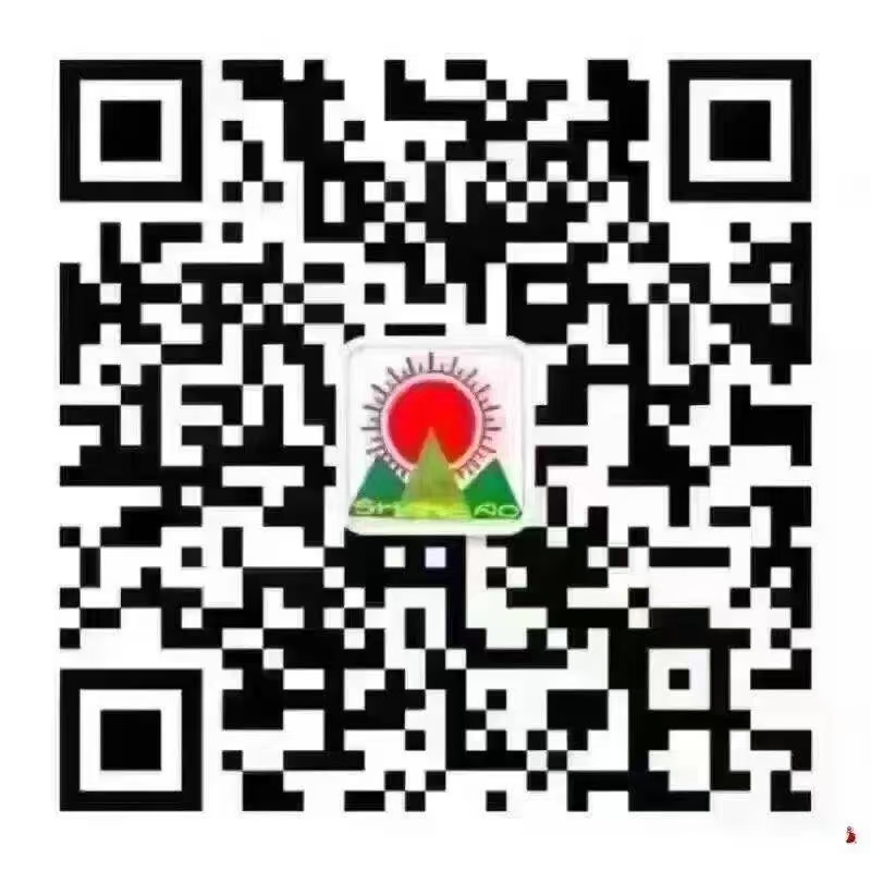 人人讲安全 个个会应急——海口市山高幼儿园2025年防震减灾演练活动-图片56