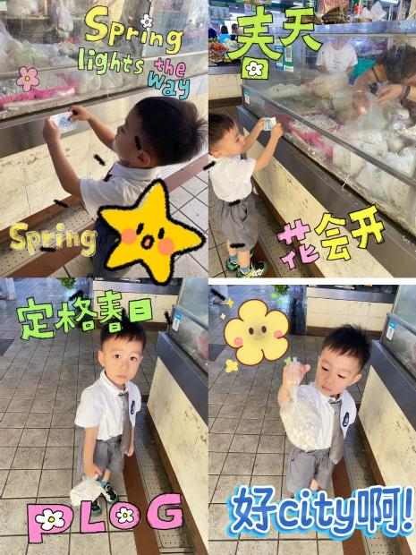 一碗清补凉装满了夏天的魔法——嘟嘟班的食育日记-图片4
