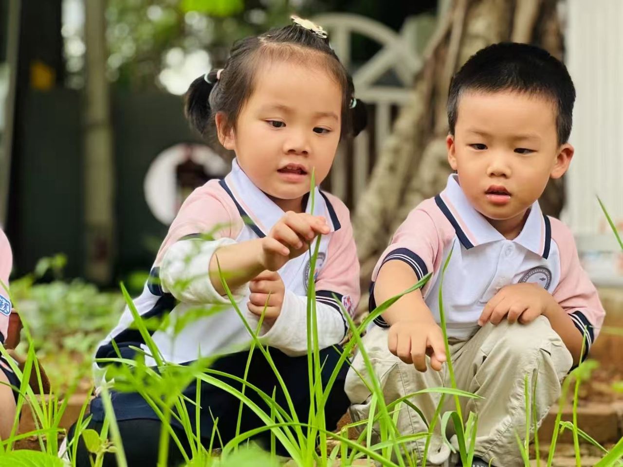 学前有法 善育有规——海口市山高幼儿园2025年学前教育宣传月启动仪式暨《学前教育法》专题学习活动-图片28