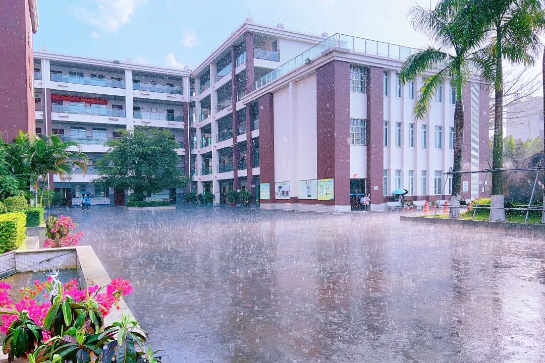 安全不“放假”——海口市龙华区山高实验学校暑期致家长的一封信-图片10
