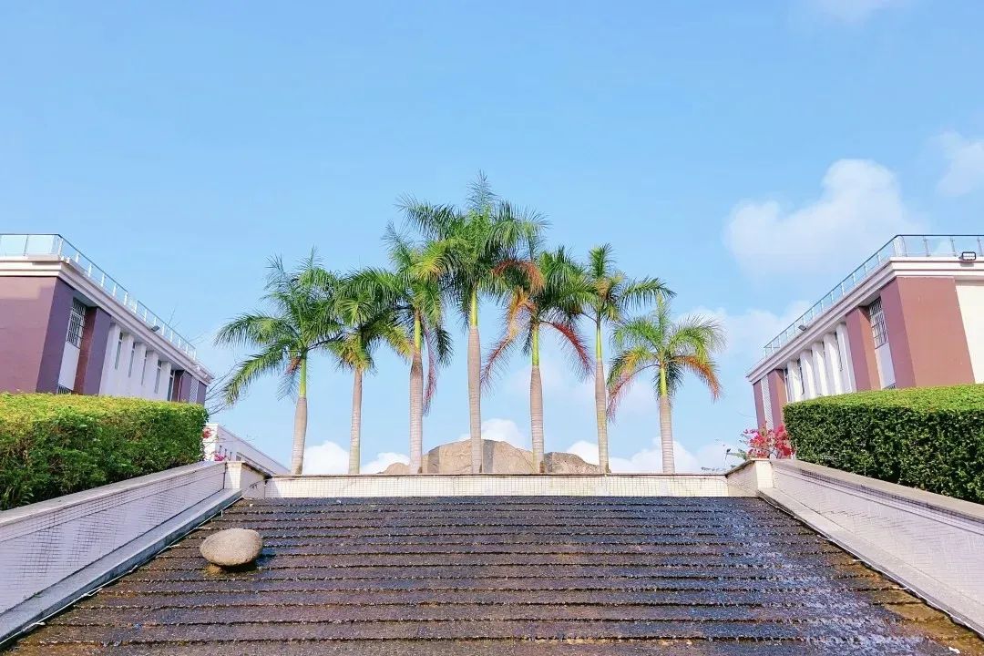 悦伴成长  家长学堂  |  海口山高中学优秀家长育子心得分享（第51期）-图片4