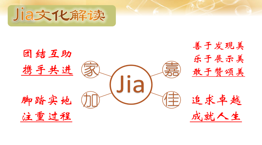 逐光同行,共启新程——海口山高中学举行2025年秋季新教师、新职工入Jia仪式-图片5