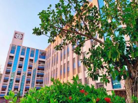 海口山高学校首页