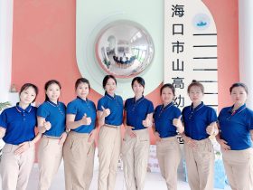 皮亚杰团队