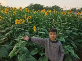 “春暖花开忆清明 习俗传承润童心”——定安县山高学校小学部清明节主题系列活动